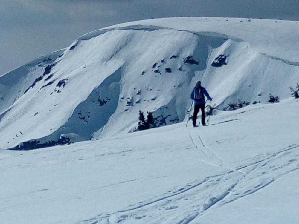 Chata Salicka Bozkov Bozkovska Exterior foto
